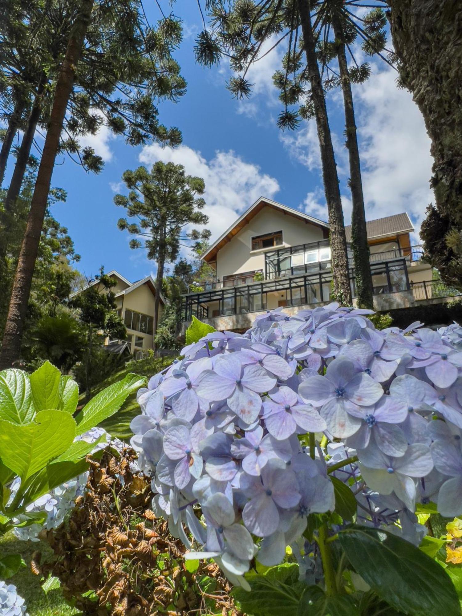 Araucaria Lodge Campos do Jordão Eksteriør bilde
