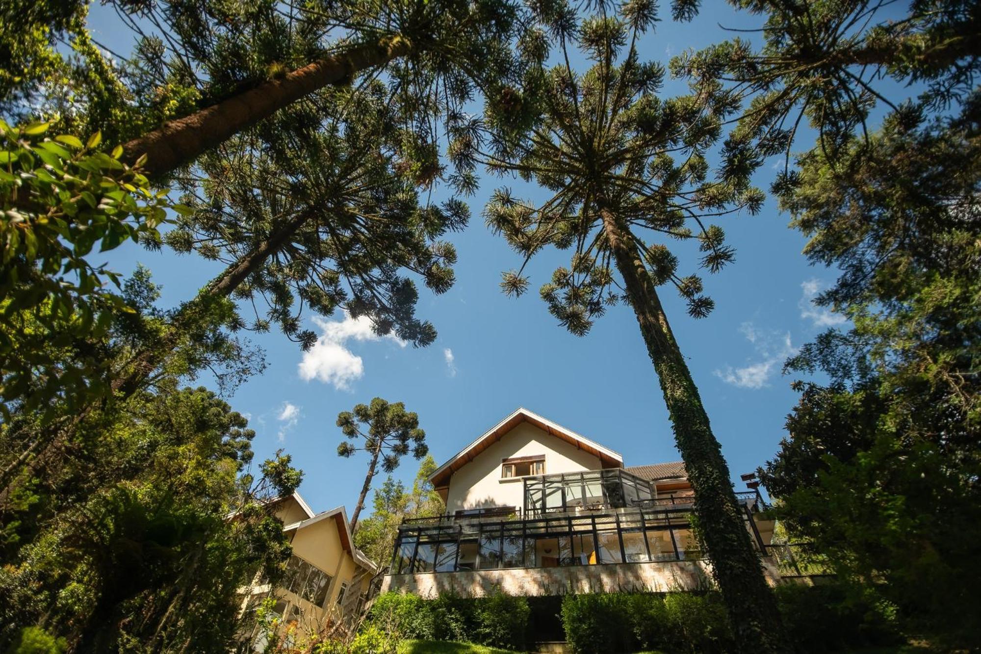Araucaria Lodge Campos do Jordão Eksteriør bilde